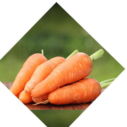 新鲜胡萝卜生鲜蔬菜礼盒农产品非转基因胡萝卜